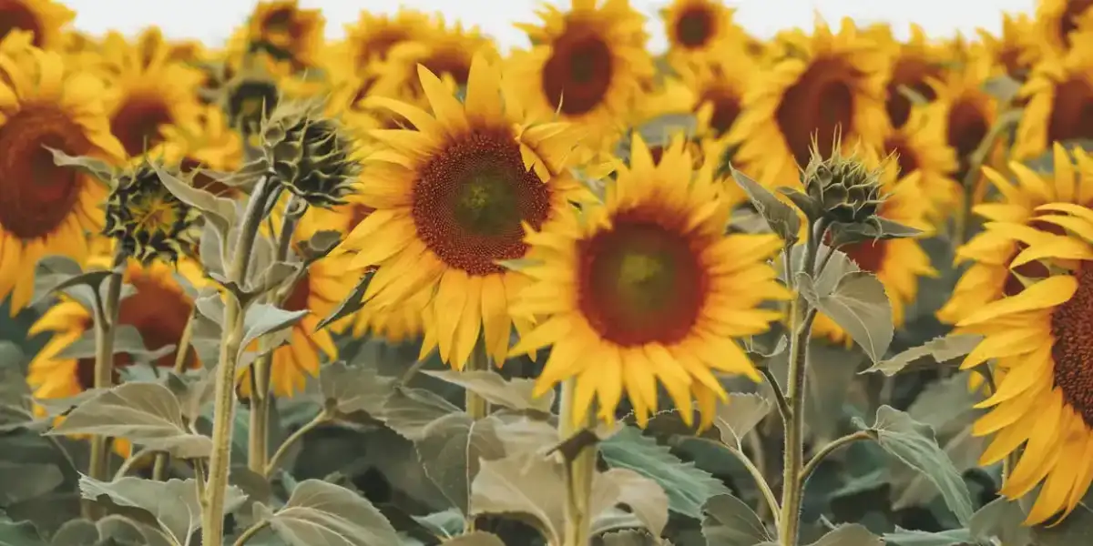 คอร์สเรียนอธิษฐาน